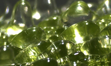 "Principe" Extraction par ultrasons Agritech Store