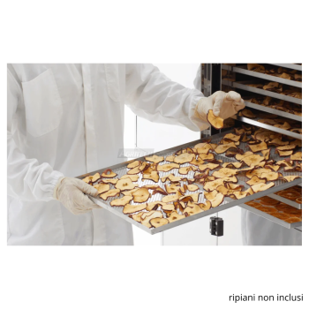 B.Master BASE – Séchoir professionnel de 14 m² pour fruits, légumes et herbes aromatiques Agritech Store