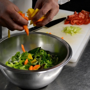 Bol en acier inoxydable Ø 260 mm Agritech Store