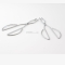 Couple pinces Ciseaux "Lance Rotisserie"
