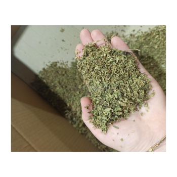 Effeuilleuse mod. GT Gold Xs Agritech Store