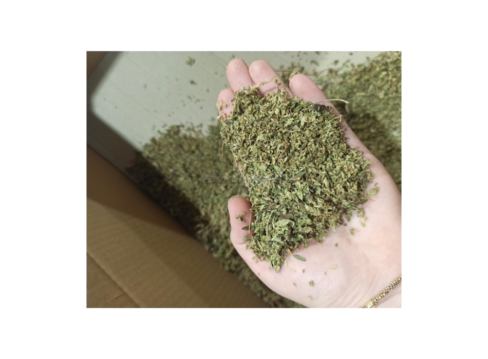 Effeuilleuse mod. GT Gold Xs Agritech Store