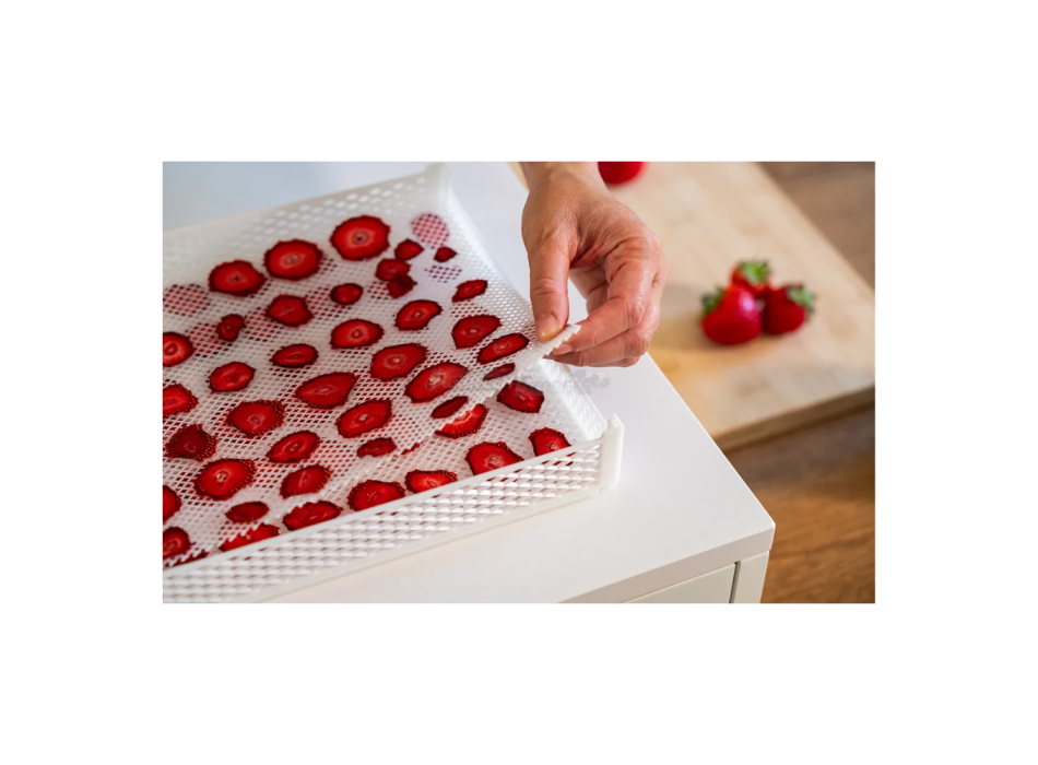 Filets DrySilk – Filets antiadhésifs pour sèche-linge Tauro Agritech Store