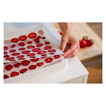 Filets DrySilk – Filets antiadhésifs pour sèche-linge Tauro Agritech Store