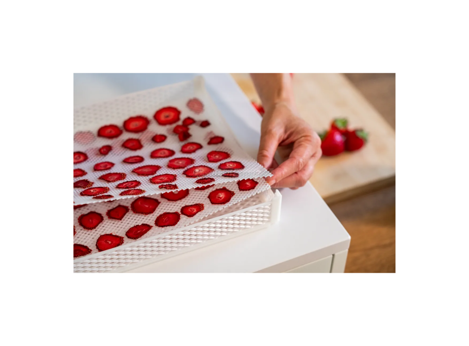 Filets DrySilk – Filets antiadhésifs pour sèche-linge Tauro Agritech Store