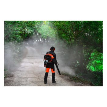 Echo PB-580 - Souffleur à dos à essence à deux temps Agritech Store