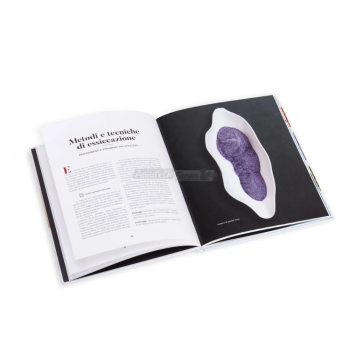 Séchage : Techniques et recettes – Un livre pour les déshydrateurs domestiques Agritech Store