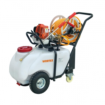 Motopompe pour pulvérisation et désherbage C50 - T4 Agritech Store