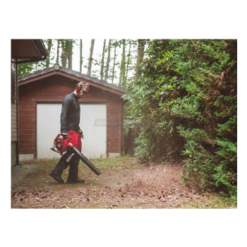 Shindaiwa EB252 - Souffleur à essence 2 temps Agritech Store