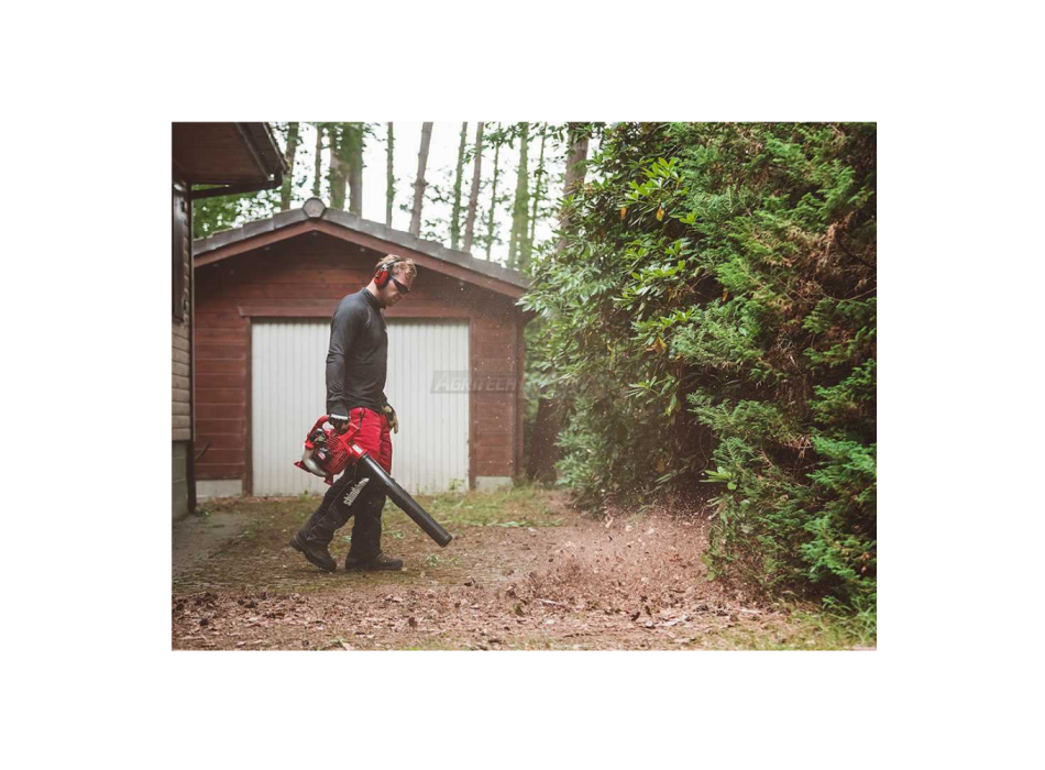 Shindaiwa EB252 - Souffleur à essence 2 temps Agritech Store