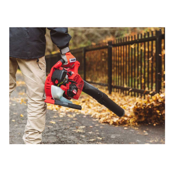 Shindaiwa EB262 - Souffleur essence 2 temps Agritech Store