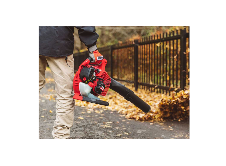 Shindaiwa EB262 - Souffleur essence 2 temps Agritech Store