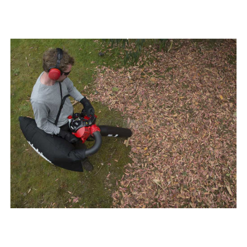 Shindaiwa EBS256S - Souffleur à feuilles à essence 3 en 1 Agritech Store