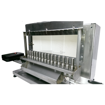 Tecnoroast TGP-15 Single Gas Pro – Gril à gaz automatique pour 15 arrosticini Agritech Store