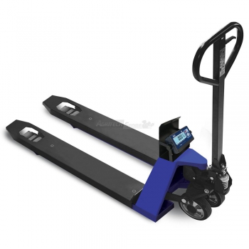 Électronique multifonction dynamomètre CS300 Capacité Kg.300 Agritech Store